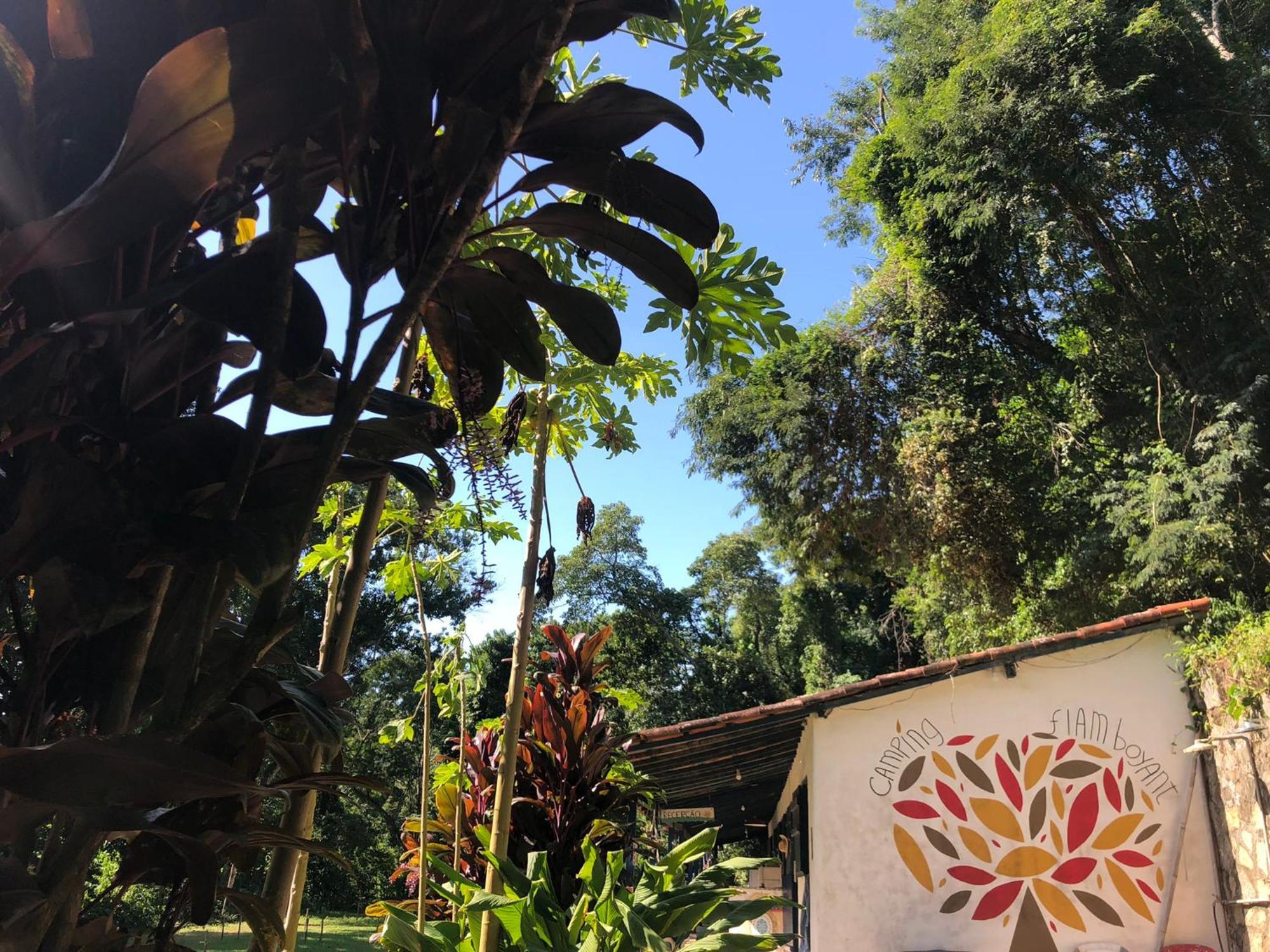 Camping Flamboyant Hotel Ilhabela Eksteriør billede